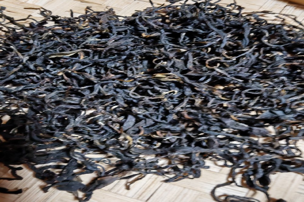 寻味六堡之本：为何六堡农家茶是茶客心中的白月光？