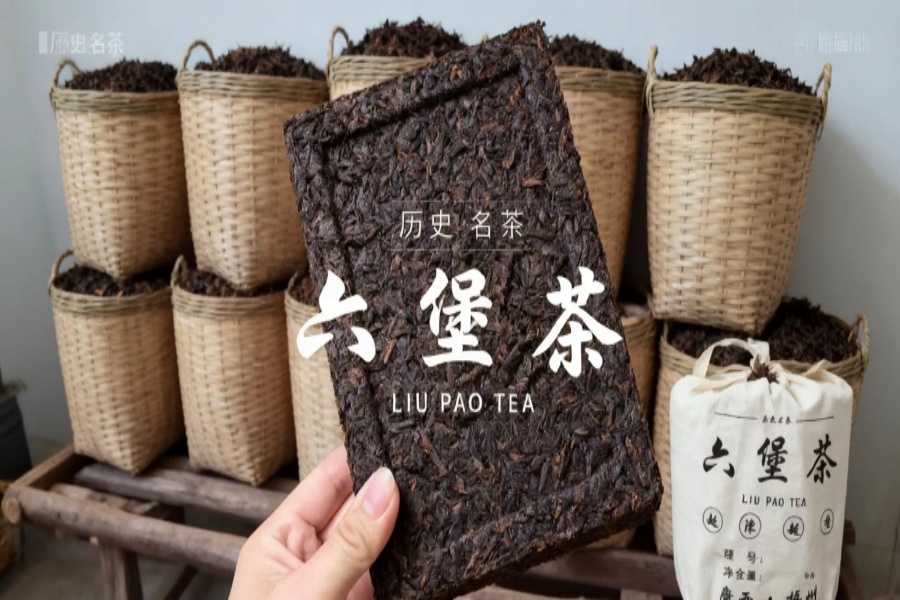 梧州六堡茶定制价格全解析：山塘岐品牌专业服务指南