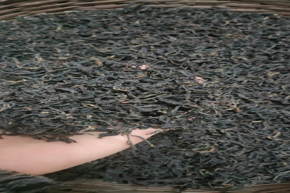 六堡茶定制价格全解析：山塘岐品牌，让每一份定制都物超所值