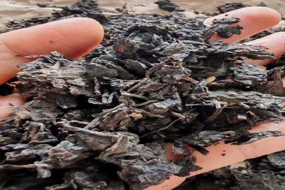 探秘六堡茶：从梧州原产地到您的茶杯，山塘岐六堡茶助力批量采购新机遇