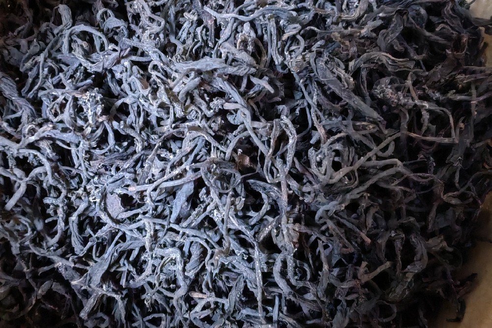 探秘广西梧州六堡茶：厂家直批，品味千年茶文化的醇香之旅