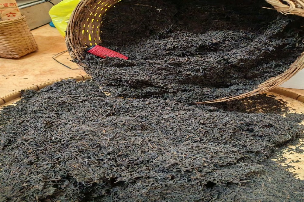 线上六堡茶批发新选择：山塘岐品牌直供，足不出户采购正宗梧州味道