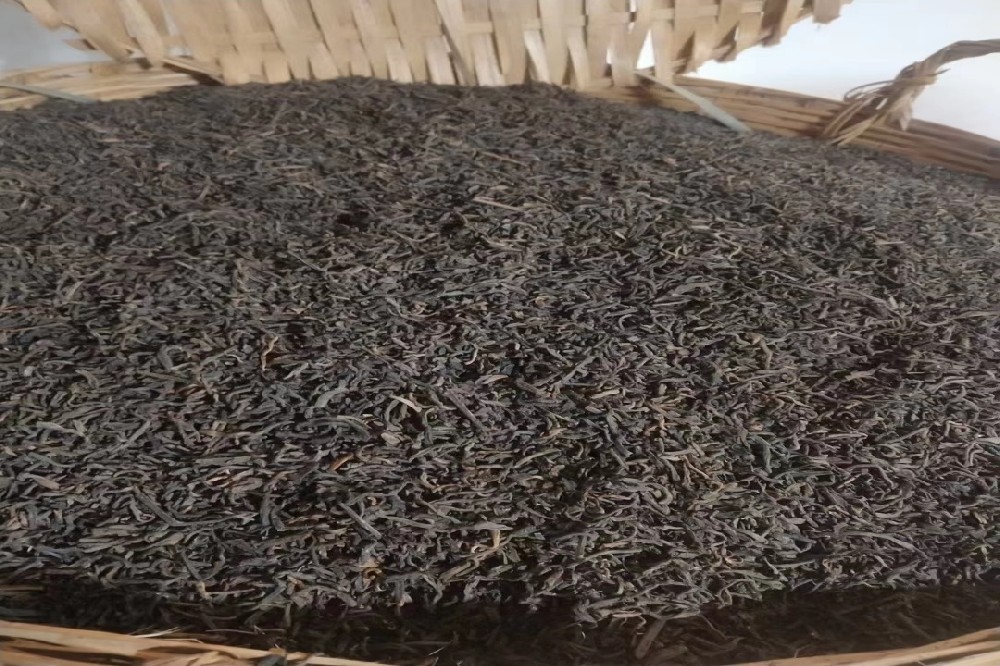 苍梧优质六堡茶厂家品牌有哪些？山塘岐用匠心诠释地道六堡味