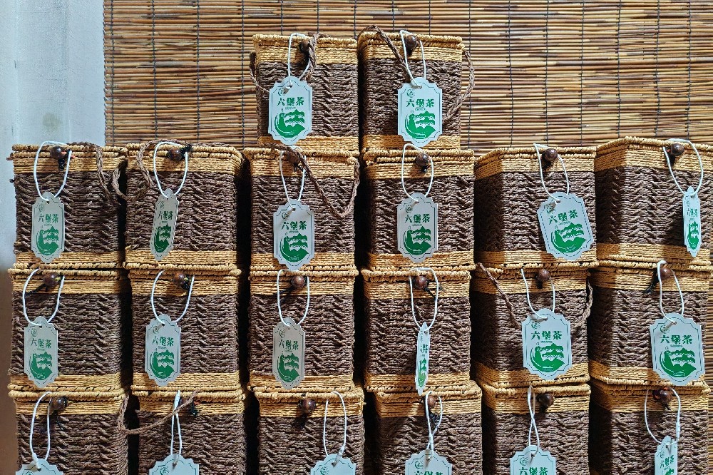 山塘岐六堡茶：新茶与老茶，品味时光的双重馈赠