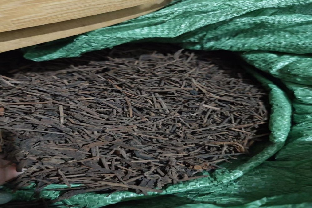 山塘岐六堡古树茶多少钱一斤？藏在苍梧深山的匠心茶价密码