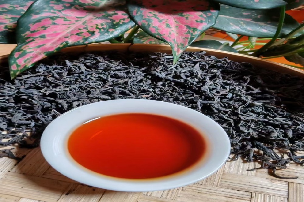 山塘岐六堡茶膏：核心产区精华，一口喝尽千年梧州韵